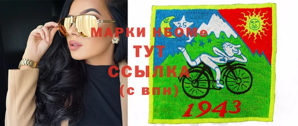 шишки Алзамай