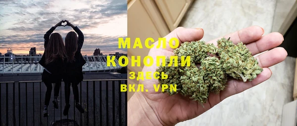 молекула духа Алексеевка